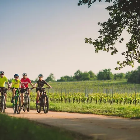 Maistra Select 3* 冯塔纳