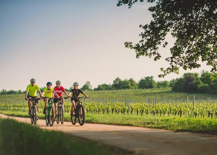 Maistra Select 3* 冯塔纳